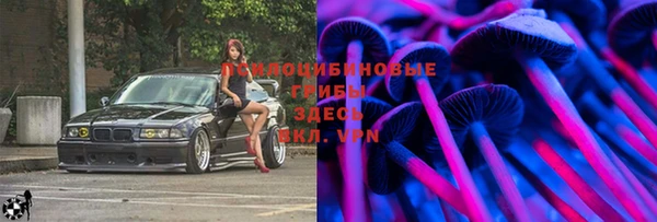 spice Гусь-Хрустальный