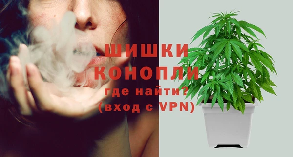 твердый Гусев