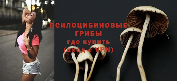 гашиш Горнозаводск