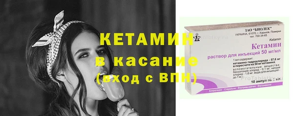 твердый Гусев