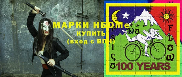 твердый Гусев
