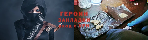 твердый Гусев