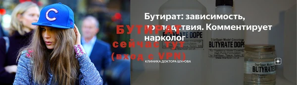 твердый Гусев