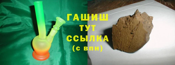 твердый Гусев