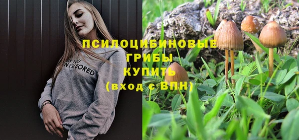 твердый Гусев
