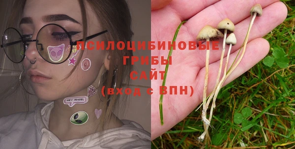 твердый Гусев
